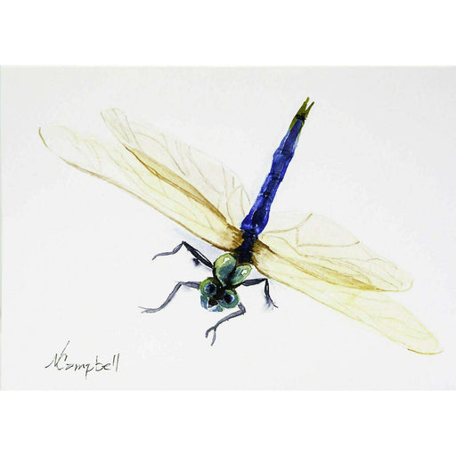 Market on Blackhawk:  Dragonfly WaterColor Card (5" x 7") - 5" x 7" Card with Envelope  |   Natalie Campbell