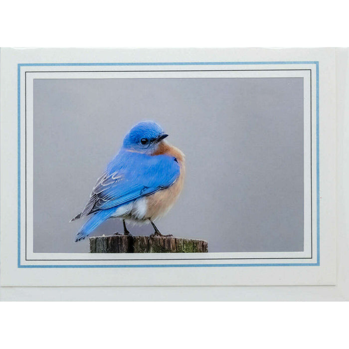 Market on Blackhawk:  Nature Photography Cards by Joni Welda - Here's Looking at You!  |   Joni Welda