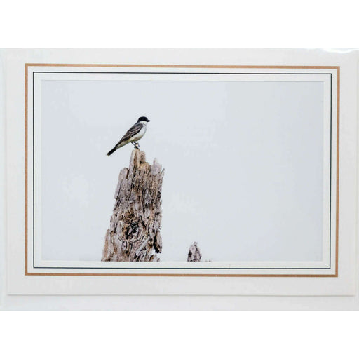 Market on Blackhawk:  Nature Photography Cards by Joni Welda - Cloudy Day Bird Perch  |   Joni Welda