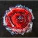 Market on Blackhawk:  Rose Flower Coasters - Red with Rock  |   Mystic Creations