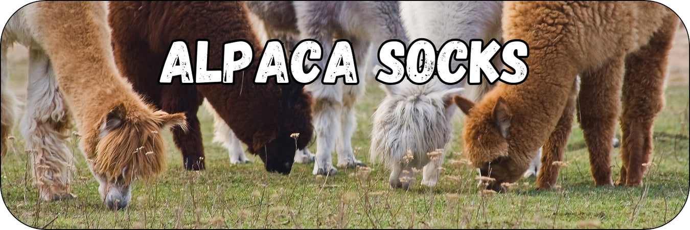 alpaca-socks