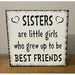 Market on Blackhawk:  Sisters are little girls who grew up to be Best Friends -Sign - Default Title  |   Ceils Crafts