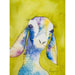 Market on Blackhawk:  Goat Watercolor Print  (9" x 12") - 9" x 12" Color Print  |   Natalie Campbell