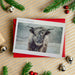 Market on Blackhawk:  Christmas Note Cards with Envelopes (pack of four 5" x 7" cards)   |   Blufftop Farm