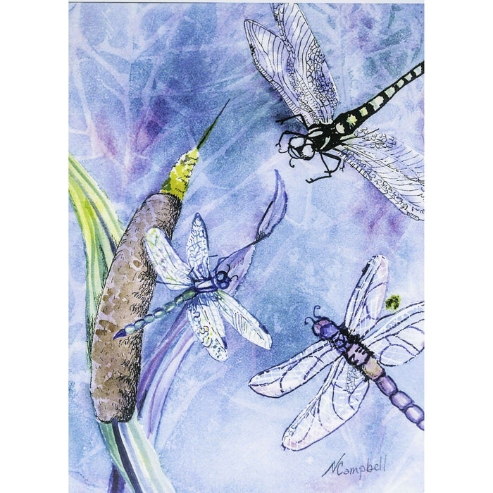 Market on Blackhawk:  Dragonflies with Blue Background WaterColor Card (5" x 7") - 5" x 7" Card with Envelope  |   Natalie Campbell
