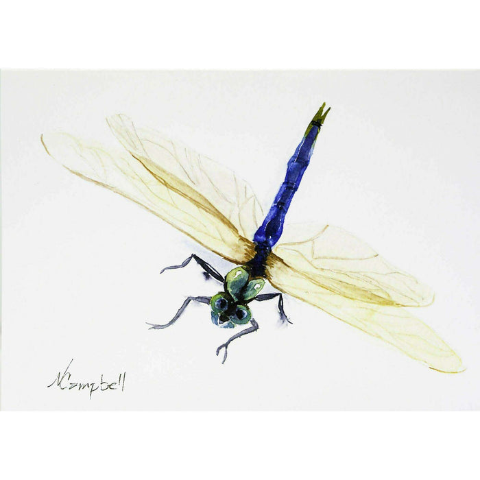 Dragonfly Notecards, White Dragonflies on Black