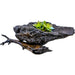 Market on Blackhawk:  Driftwood Resin Succulent (from the Mississippi River)   |   Things That Garnish
