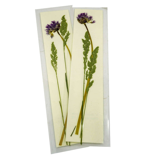 Market on Blackhawk:  Handmade Pressed Flower Bookmark - Field Chives  |   LA MAISON RAVOUX