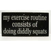Market on Blackhawk:  My exercise routine consists of doing diddly squats - Handmade Painted Wood Sign   |   Ceils Crafts