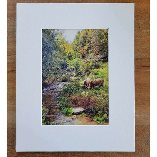 Market on Blackhawk:  "Peaceful Creek" - Original Photography Print from Julie Check of Blufftop Photography - Photo Print:  8"x10" pic with white  11"x14" matte (14" x 11" x 0.2", 5 oz.)  |   Blufftop Farm
