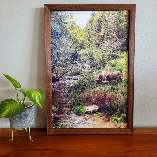 Market on Blackhawk:  "Peaceful Creek" - Original Photography Print from Julie Check of Blufftop Photography - Framed Ultra-Thick Print (15.25" x 25.25" x 1.5", 2.19 lbs.)  |   Blufftop Farm