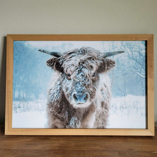 Market on Blackhawk:  "Snowy Stella", Original Photography Print - Framed Ultra-Thick Print (1.5" x 25.25" x 17.25", 2.19 lbs.)  |   Blufftop Farm