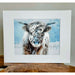 Market on Blackhawk:  "Snowy Stella", Original Photography Print - Photo Print:  8"x10" pic with white  11"x14" matte (14" x 11" x 0.2", 5 oz.)  |   Blufftop Farm