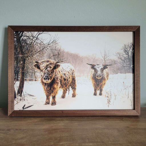 Market on Blackhawk:  "Winter Gals", Original Photography Print - Framed Ultra-Thick Print (1.5" x 25.25" x 17.25", 2.19 lbs.)  |   Blufftop Farm