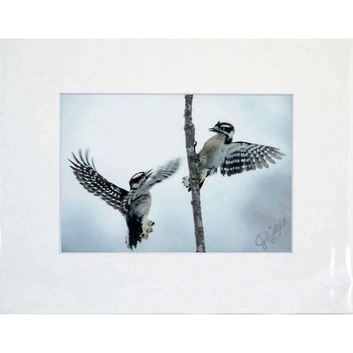 Market on Blackhawk:  Nature Photography Prints (5" x 7" - matted to 8" x 10") - My Branch  |   Joni Welda