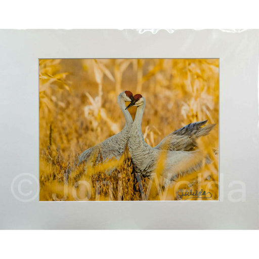 Market on Blackhawk:  Nature Photography Prints (8" x 10" picture - matted to 11" x 17") - Heartfelt Field  |   Joni Welda