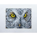 Market on Blackhawk:  Nature Photography Prints by Joni Welda - Great Grey Owl  |   Joni Welda