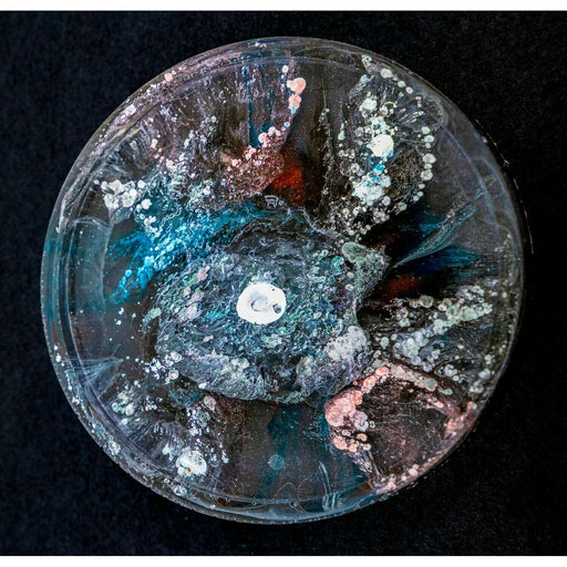 Market on Blackhawk:  Resin Coasters - Galaxy View  (4" x 4" x 0.25", 4 oz.)  |   Mystic Creations