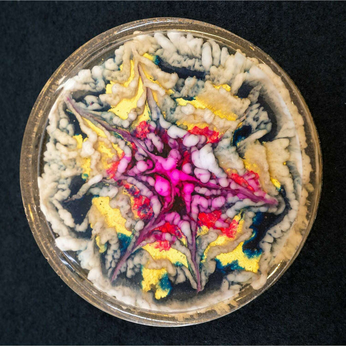 Market on Blackhawk:  Resin Coasters   |   Mystic Creations