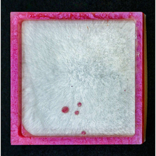Market on Blackhawk:  Resin Coasters - Pink Dots  (4" x 4" x 0.25", 4 oz.)  |   Mystic Creations