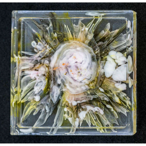Market on Blackhawk:  Resin Coasters - Naturally White Bloom  (4" x 4" x 0.38", 3 oz.)  |   Mystic Creations